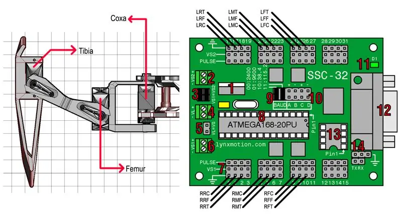 Connecteu el cable servo