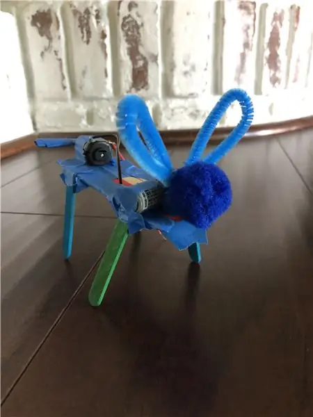 আপনার Wobblebot সাজাইয়া