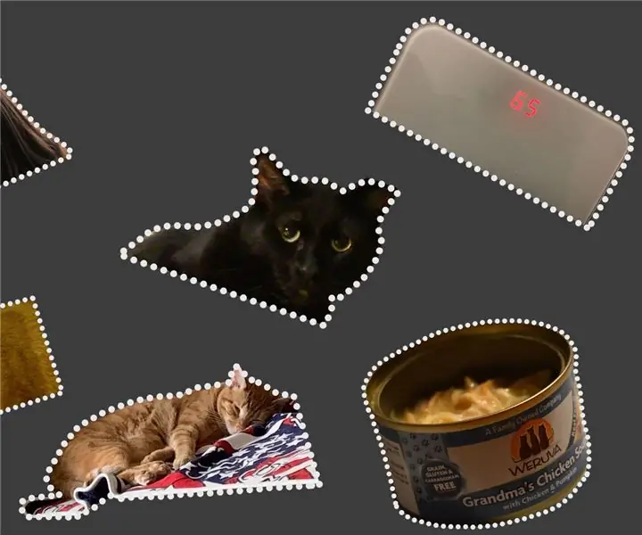 MAGICAL Cat Feed: 8 steg