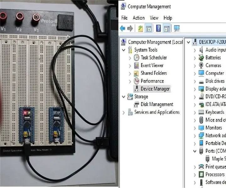 STM32 „Mėlynos tabletės“programavimas naudojant „Arduino IDE“ir USB: 8 žingsniai