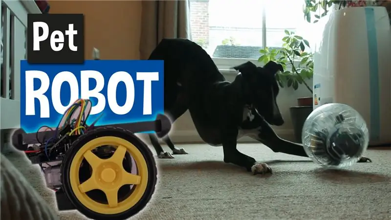 Boule de robot pour animaux de compagnie