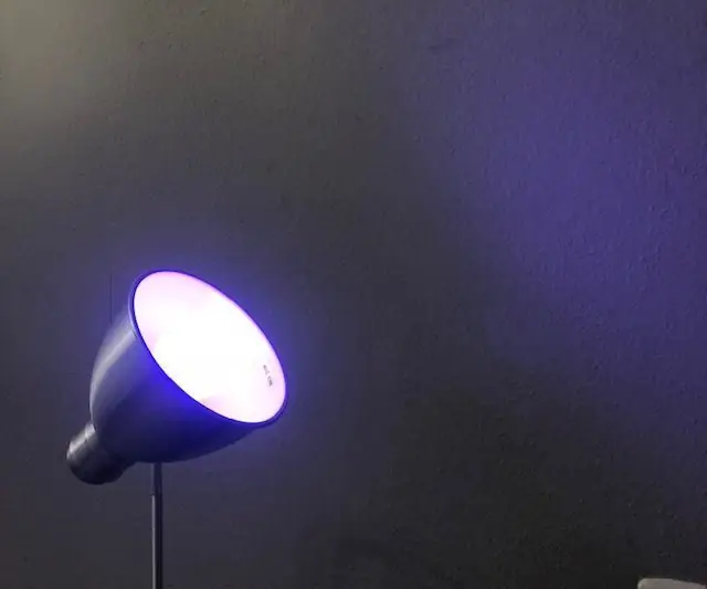 IoT School Project Philips Hue: 19 Βήματα