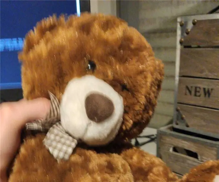 Vertalende Teddybeer: 11 stappe