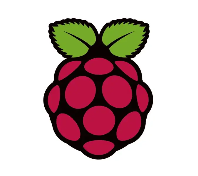 RASPBERRY PI Pi OBJEKTDETEKTION MED MULTIPLE CAMERA'S