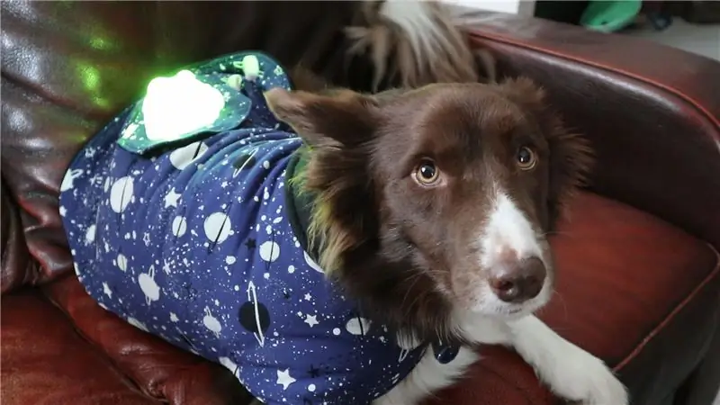 Galaxy Dog Jacket