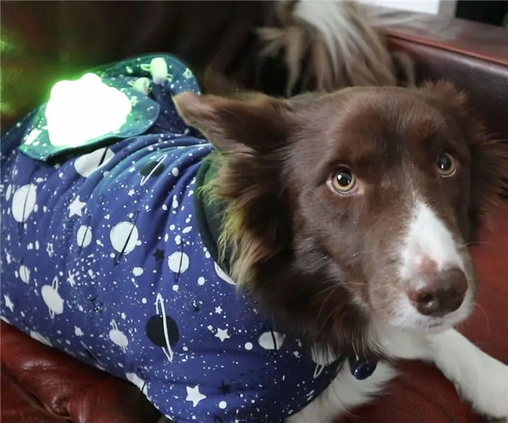 Galaxy Dog Jacket: 8 ขั้นตอน (พร้อมรูปภาพ)