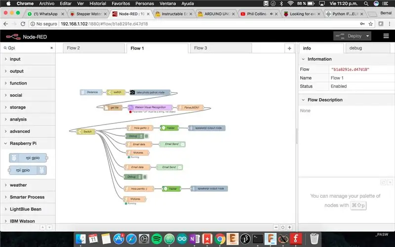 Programando El Sistema Cognitivo