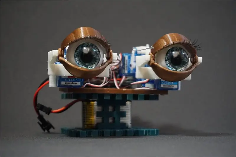 Animatronic Eyes с дистанционно управление