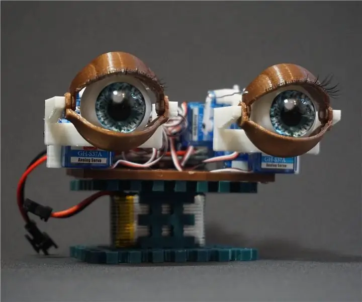 Animatronic Eyes với điều khiển từ xa: 5 bước