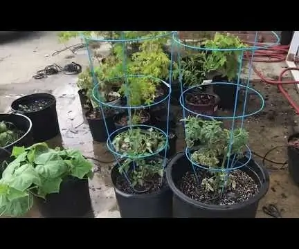 Com construir un sistema de reg automàtic de plantes de bricolatge amb alertes WiFi: 15 passos