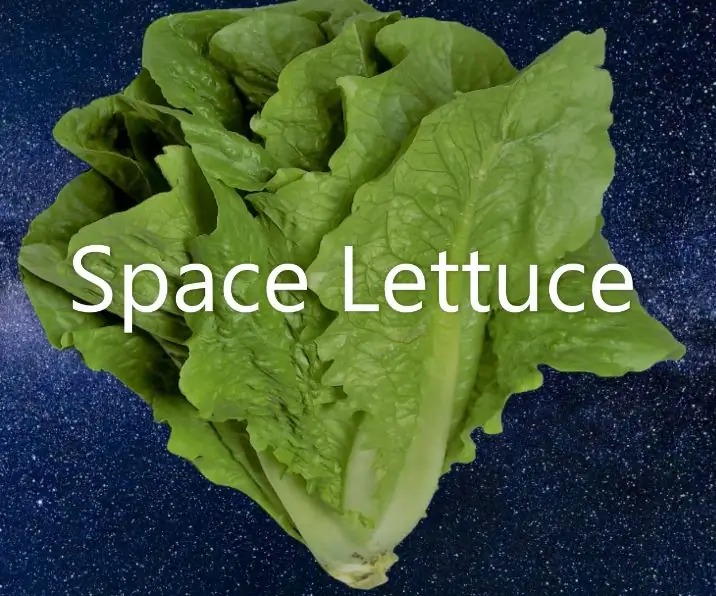 Space Lettuce Chamber Instructable- Airline High School Robotics: 8 Steps