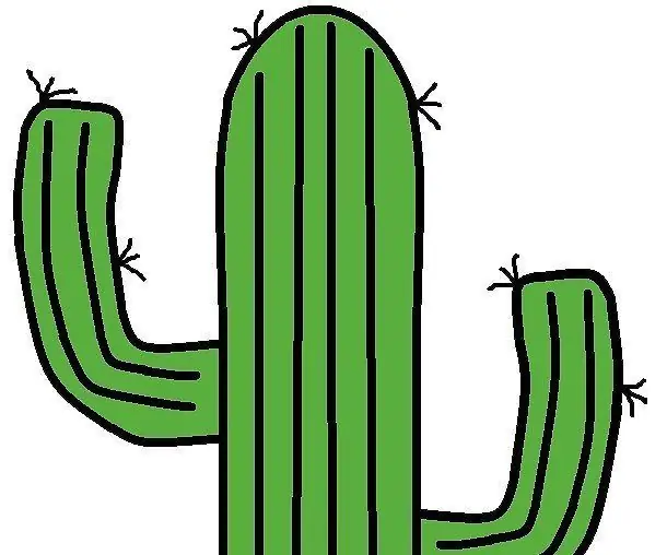 Pantalla de llum de cactus: 8 passos