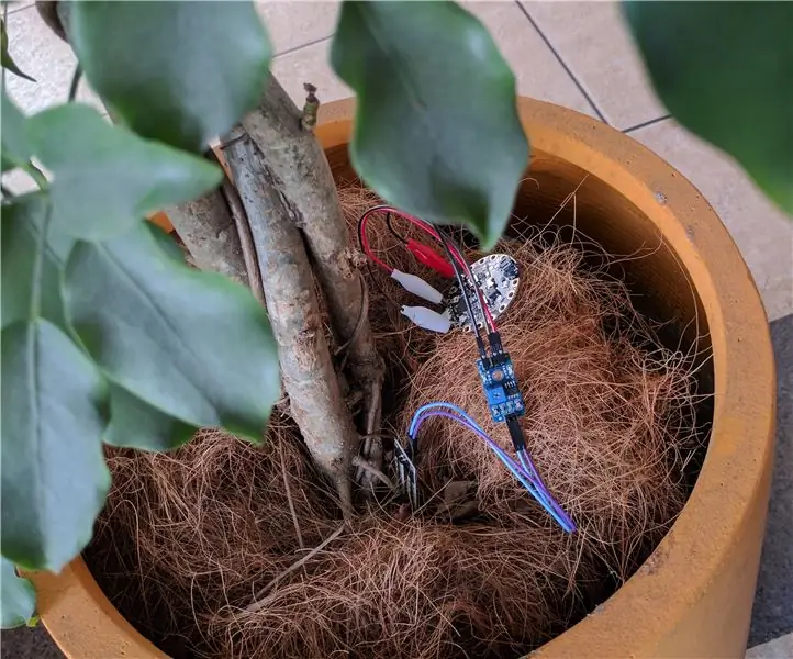 Medidor De Humedad, Temperatura Y Luz Para Plantas: 3 Langkah