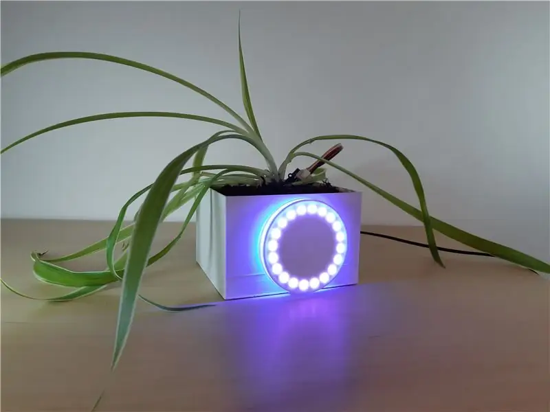 Connected Flowerpot für Micro:bit