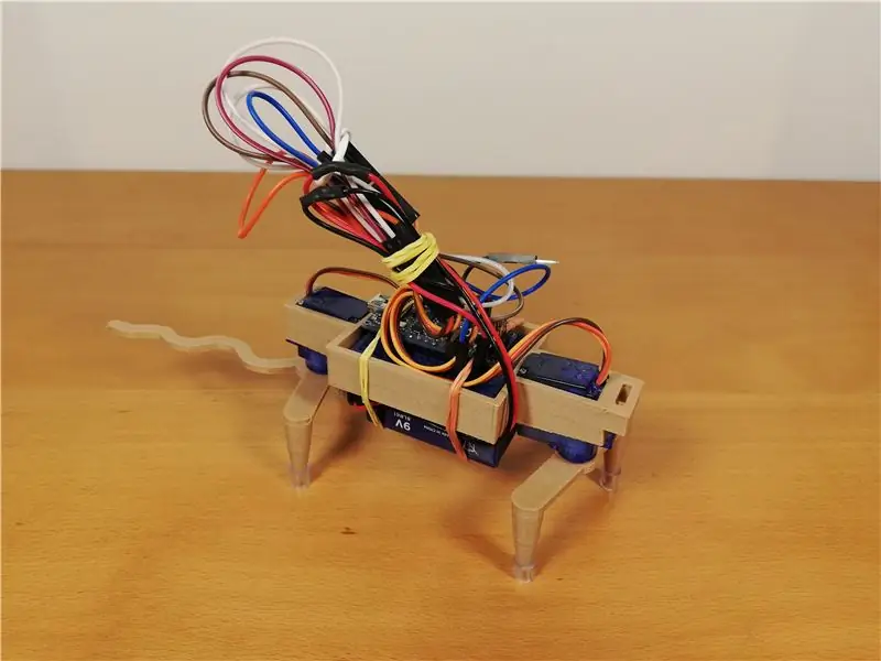 Robotic Rat