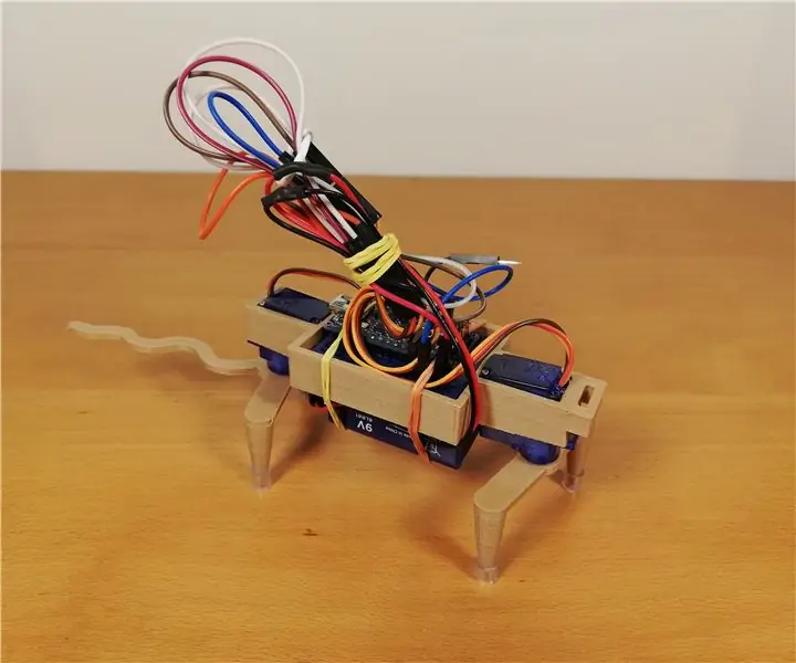 Robotic Rat: 8 stappen (met afbeeldingen)