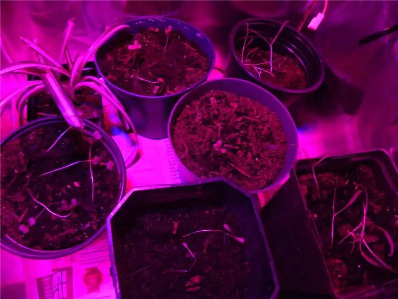 24 Watt LED Grow Light med lysstyrkekontrol: 8 trin (med billeder)