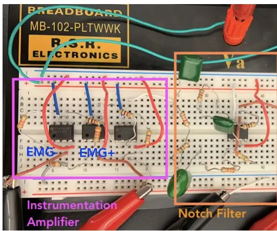 ECG automatizado fácil (1 amplificador, 2 filtros): 7 etapas