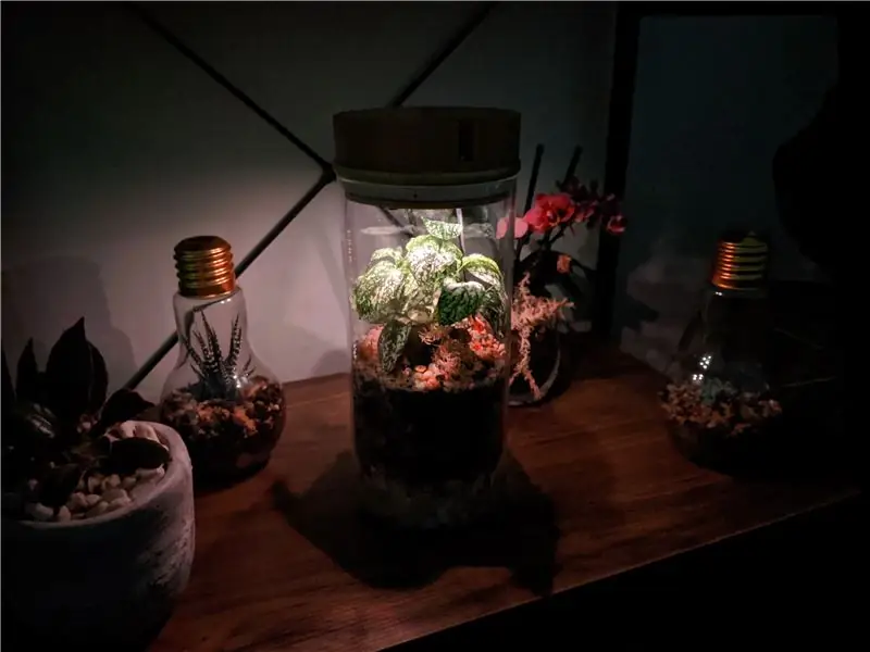 IoT-terrarium