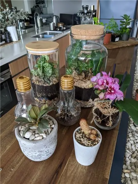 إنترنت الأشياء- Terrarium