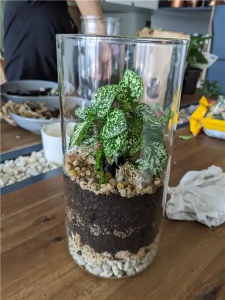 Kufanya Terrarium yako