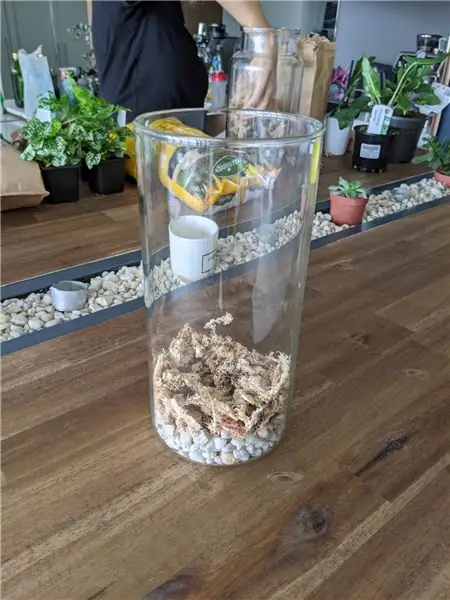 የእርስዎ Terrarium ማድረግ