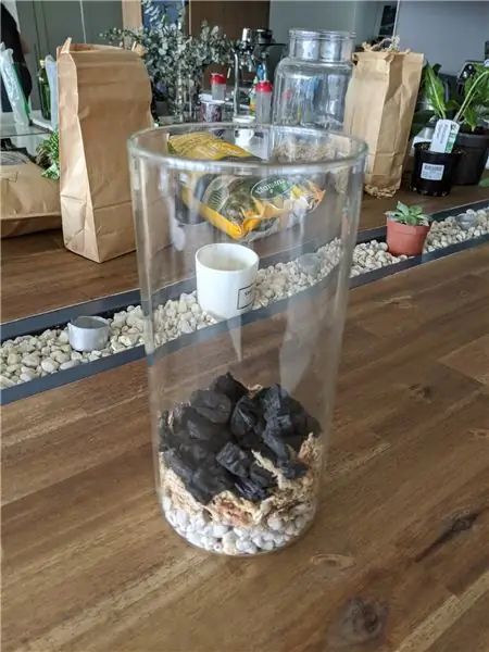 Paggawa ng Iyong Terrarium