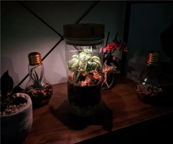 IoT-Terrarium: 6 steg (med bilder)