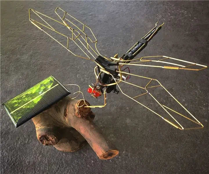 Flapping Dragonfly BEAM -robot fra et ødelagt RC -leketøy: 14 trinn (med bilder)