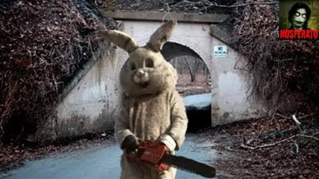 Killer Bunny robota cepure: 5 soļi (ar attēliem)