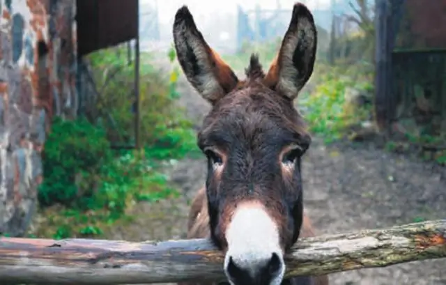 Ako upraviť tričko s ekvalizérom s konektorom pre slúchadlá: 6 krokov