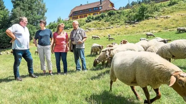 Otvaranje naredbenog retka na ograničenom korisničkom računu: 3 koraka