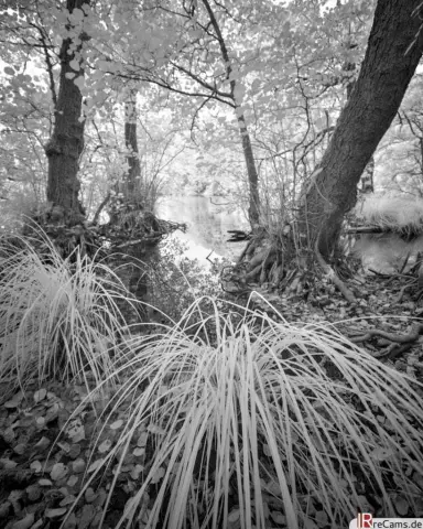 Tahadhari ya Uingiliaji wa infrared: Hatua 5