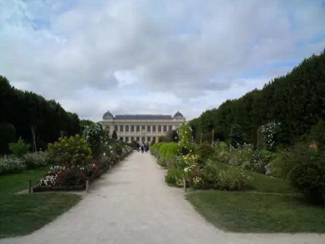 Guerre de l'appareil photo : 3 étapes