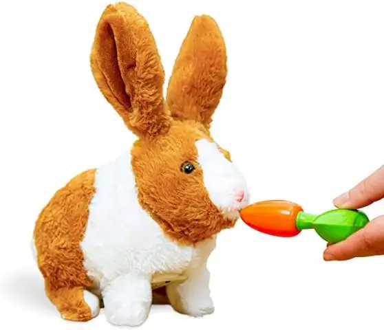 Interaktiewe speelgoed vir kinders. (ligte en klank): 6 stappe Interaktiewe speelgoed vir kinders. (ligte en klank): 6 stappe