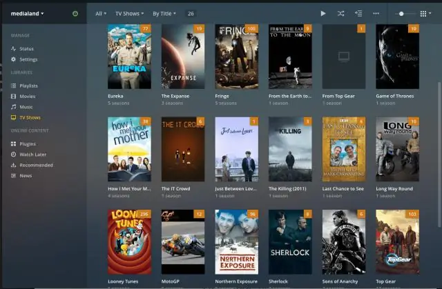 Raspberry Pi PLEX TV: 4 lépés